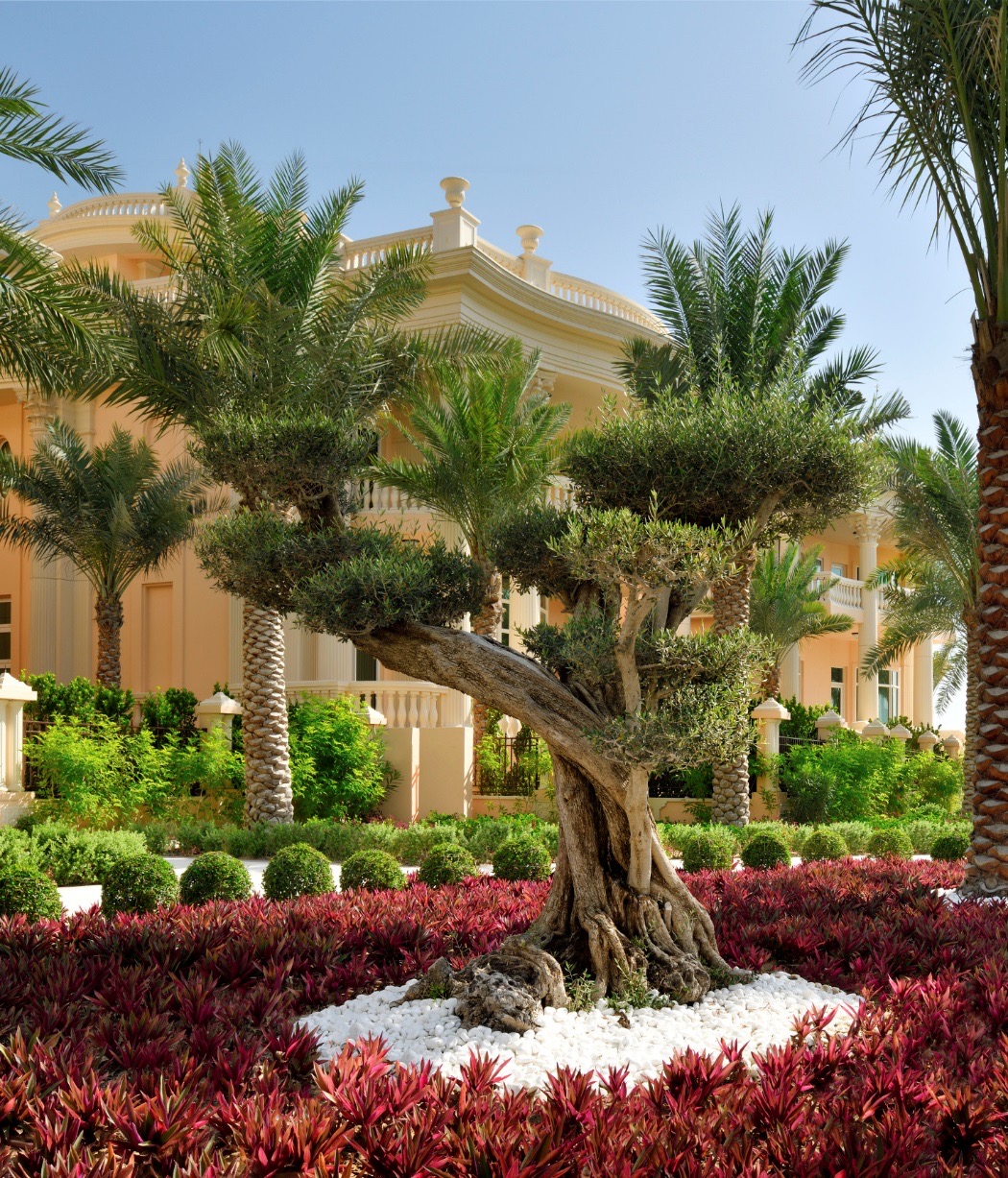 Luxury Villas For Sale In Palm Jumeirah