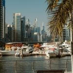Real Estate Investment